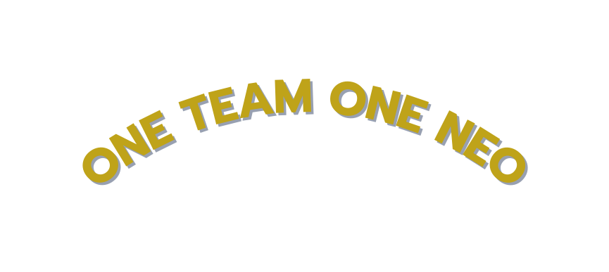 ONE TEAM ONE NEO